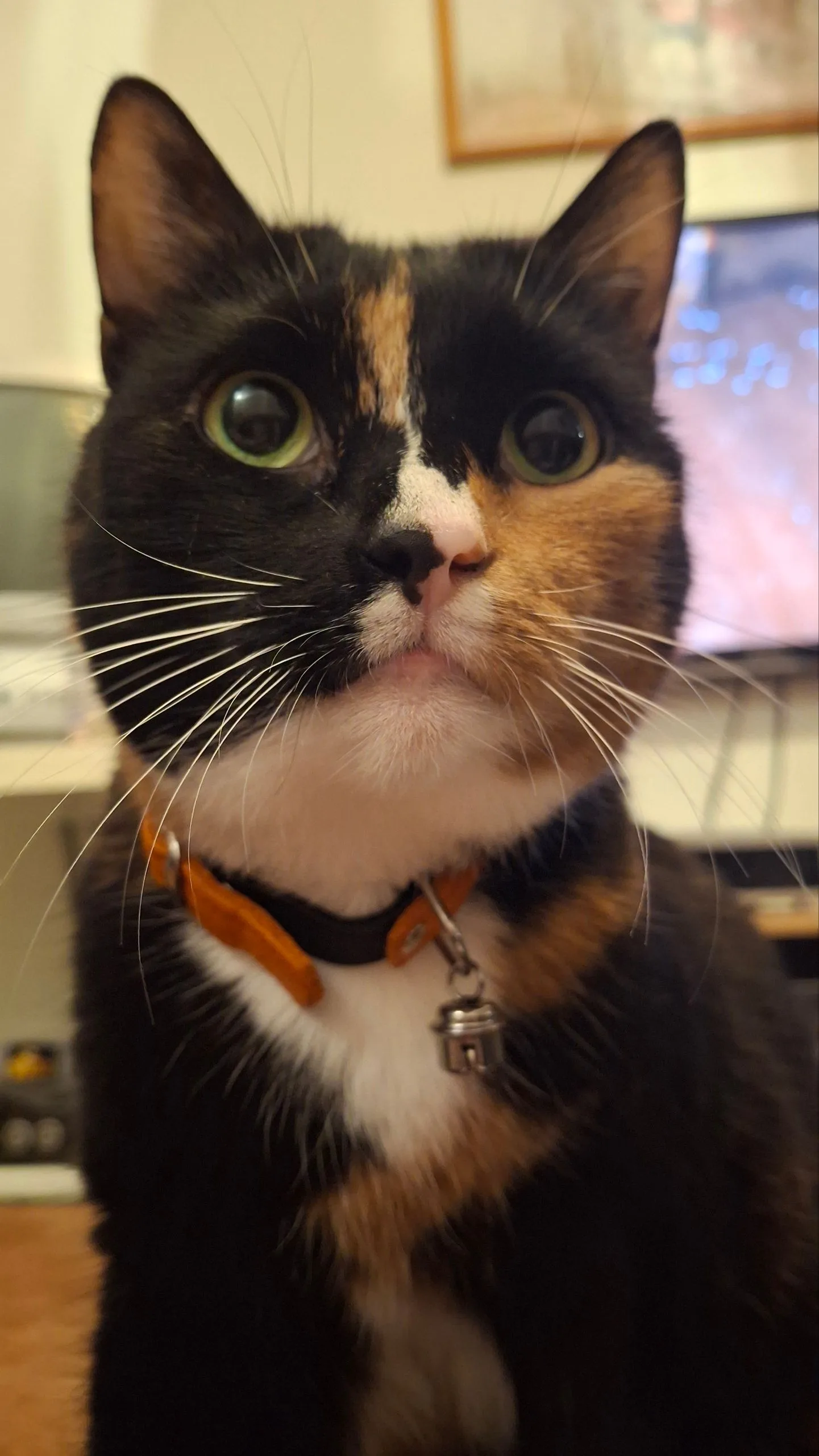 Peanut