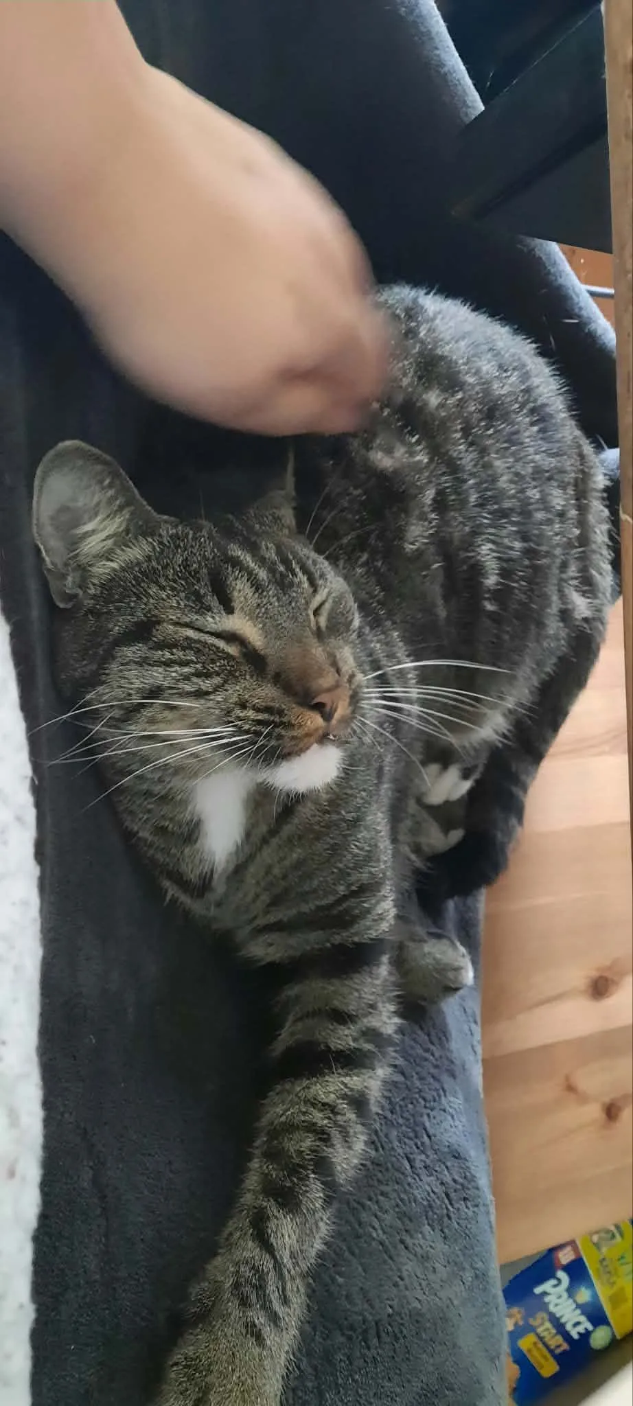 Boefje