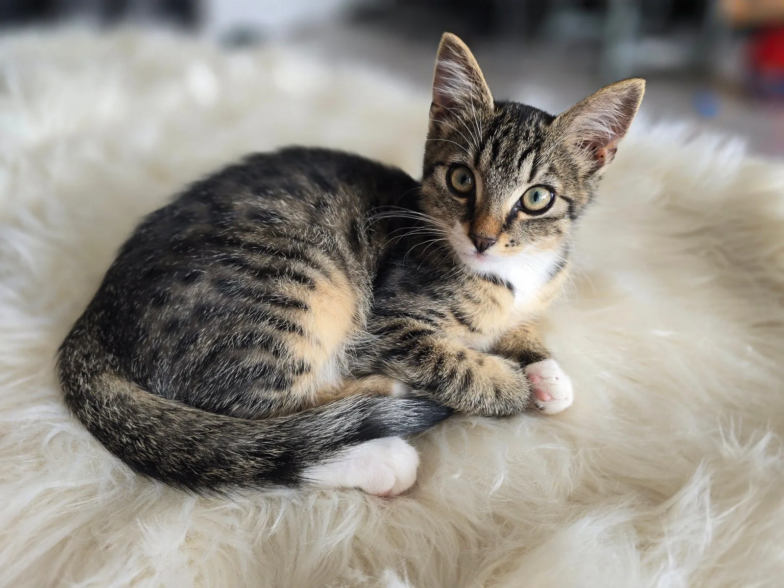 Yuki