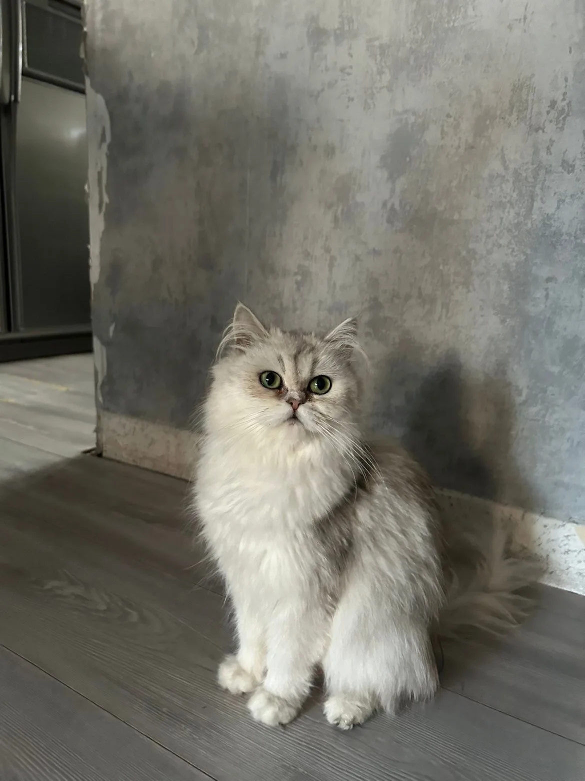 Honey